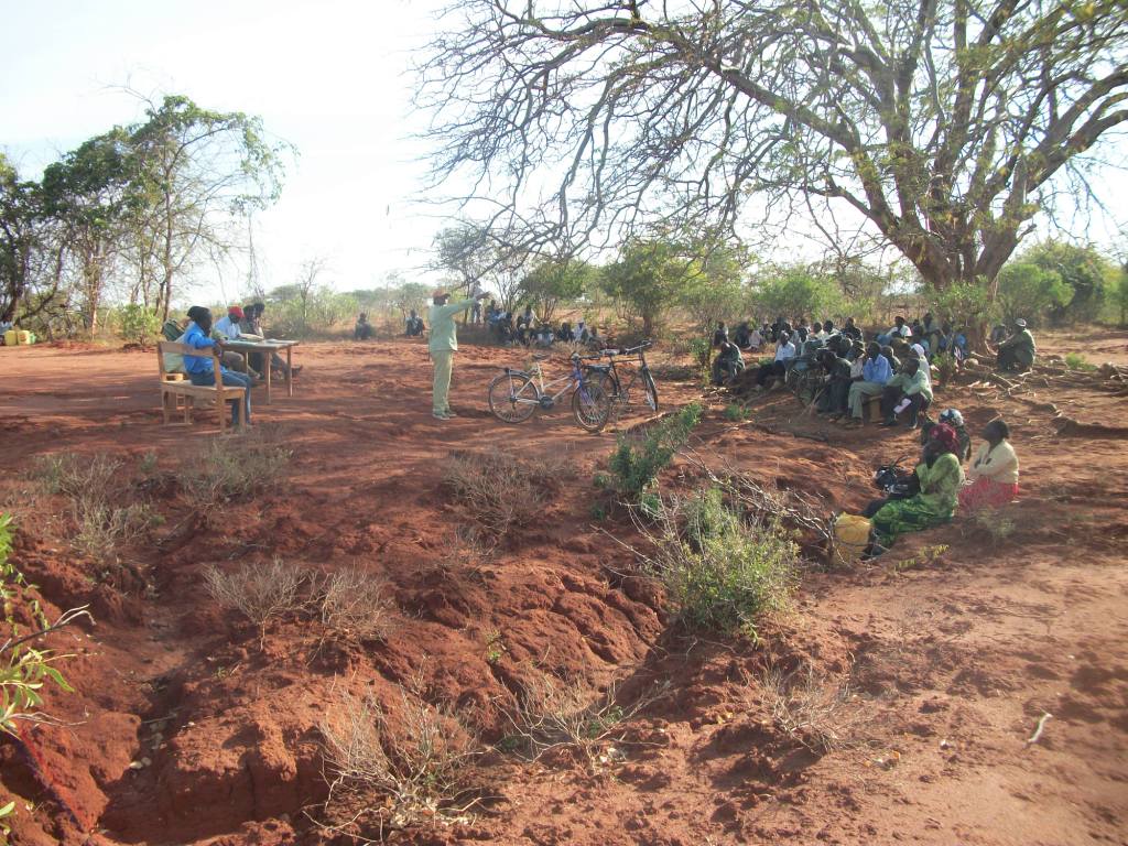 Frashiah with millet producers in Kathangacini